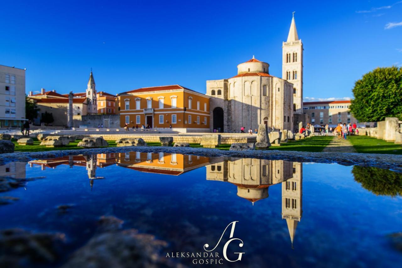 Lupino'S Gallery Apartment - Old Town Zadar Eksteriør billede